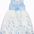 Girls Blue Floral Tulle Dress with Embellished Collar - Toddler Party Dress